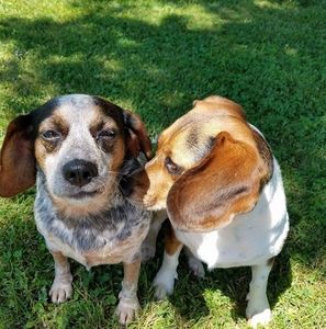 Meet your Posher, Beth